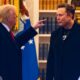 MUSK TRUMP3