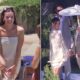 josh wedding reh fi
